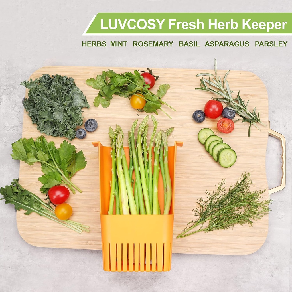 fresh-herb-keeper-for-refrigerator-clear-4.jpg