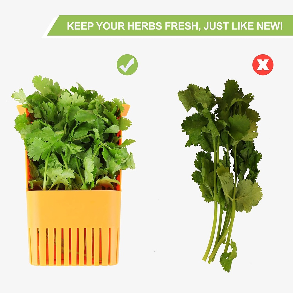fresh-herb-keeper-for-refrigerator-clear-6.jpg