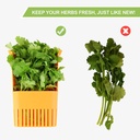 fresh-herb-keeper-for-refrigerator-clear-6.jpg