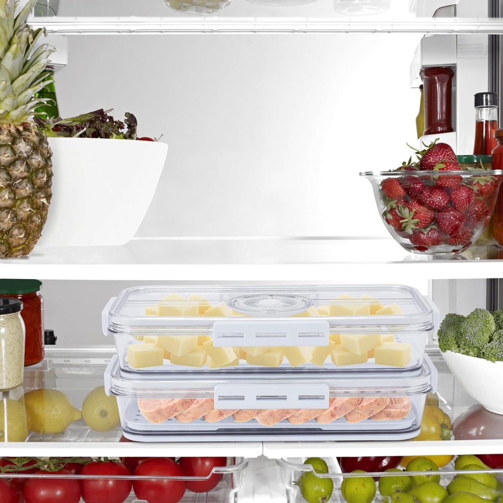 cheese-and-lunch-meat-container-for-refr-5.jpg