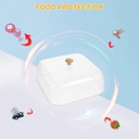 cake-cover-lid-square-clear-food-plate-t-6.jpg