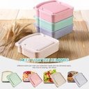 5pcs-reusable-sandwich-containers-for-lu-4.jpg