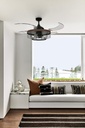 fanaway-montclair-48-inch-ac-ceiling-fan-2.jpg