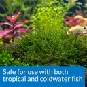 api-root-tabs-freshwater-aquarium-plant--5.jpg