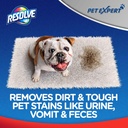 resolve-pet-expert-stain-and-odor-remove-4.jpg