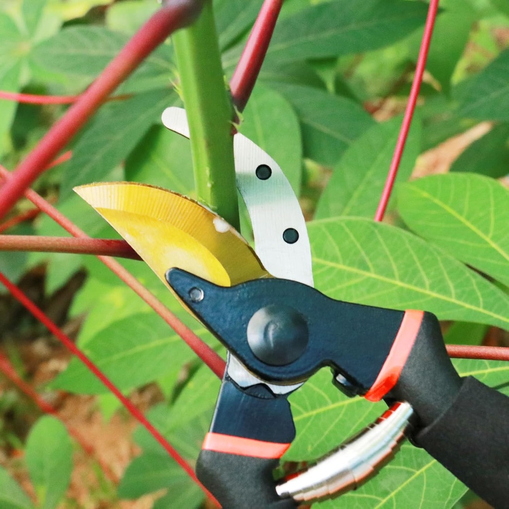 garden-shears-sharp-pruners-for-gardenin-6.jpg