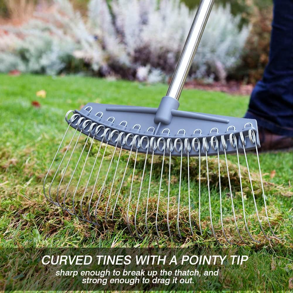 colwelt-thatch-rake--24-steel-tines-deth-3.jpg