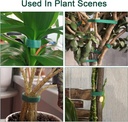 4-rolls-plant-ties-garden-ties-green-tap-6.jpg
