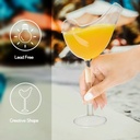 bird-shaped-martini-glasses-set-of-2-54--4.jpg