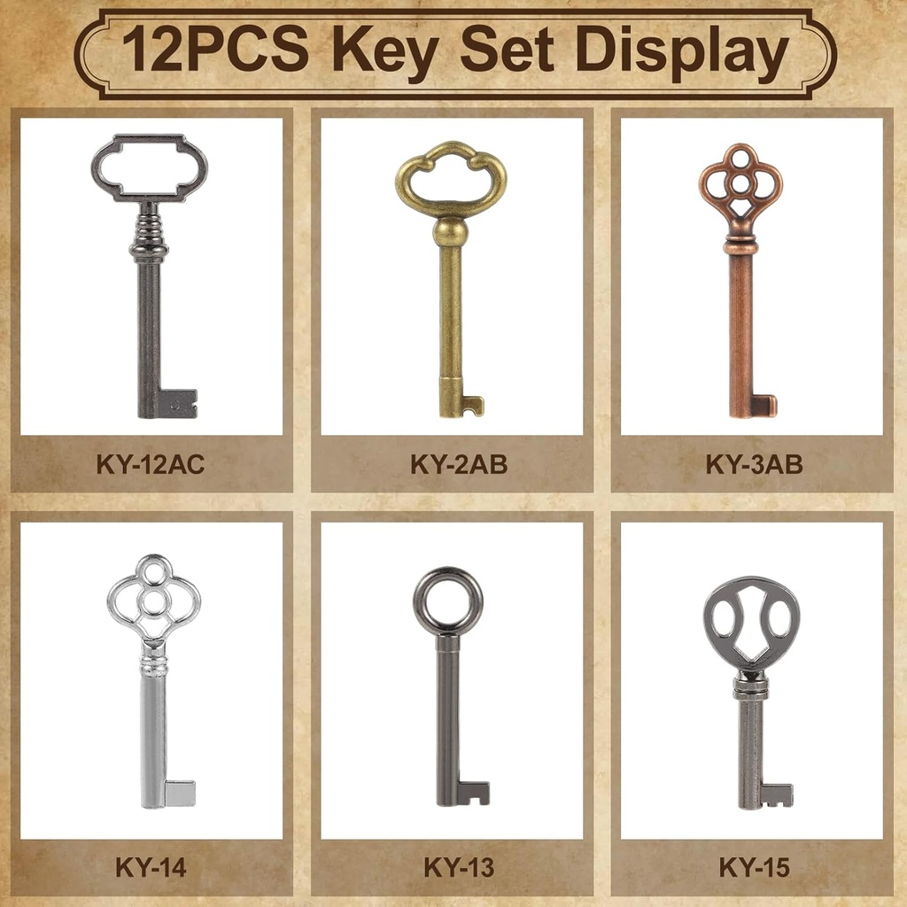 12pcs-hollow-barrel-skeleton-key-hollow--4.jpg