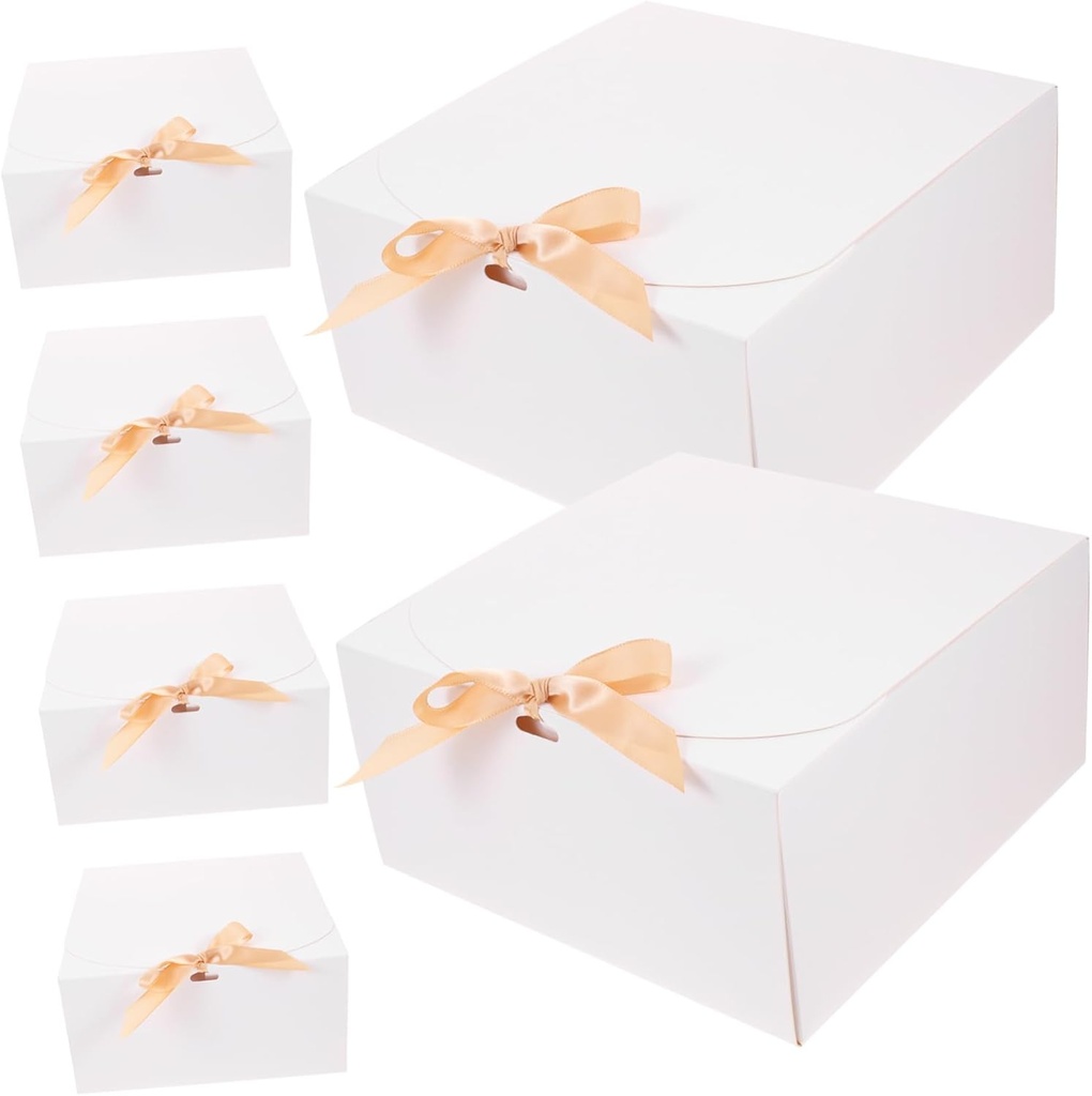 6-pack-cake-holders-mini-cake-boxes-for--6.jpg