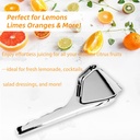 lemon-squeezer-stainless-steel-lemon-squ-2.jpg
