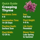 home-grown-purple-creeping-thyme-seeds-n-5.jpg