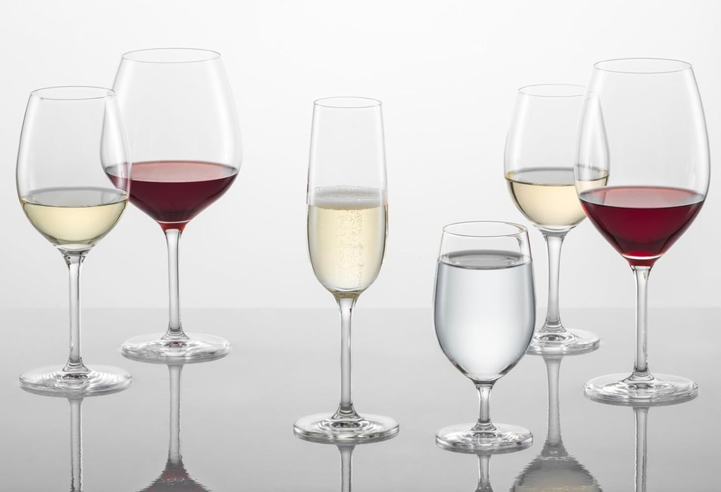 schott-zwiesel-121595-wine-glass-red-whi-3.jpg