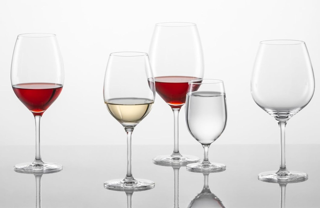 schott-zwiesel-121595-wine-glass-red-whi-5.jpg