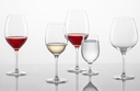 schott-zwiesel-121595-wine-glass-red-whi-5.jpg
