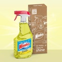 windex-multipurpose-cleaner-disinfectant-3.jpg