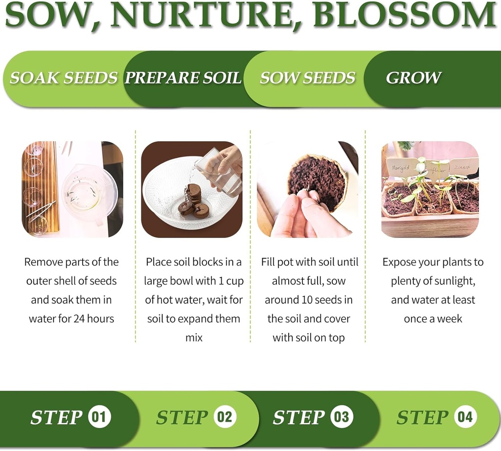 5-diy-bonsai-tree-kit-for-beginners-comp-4.jpg