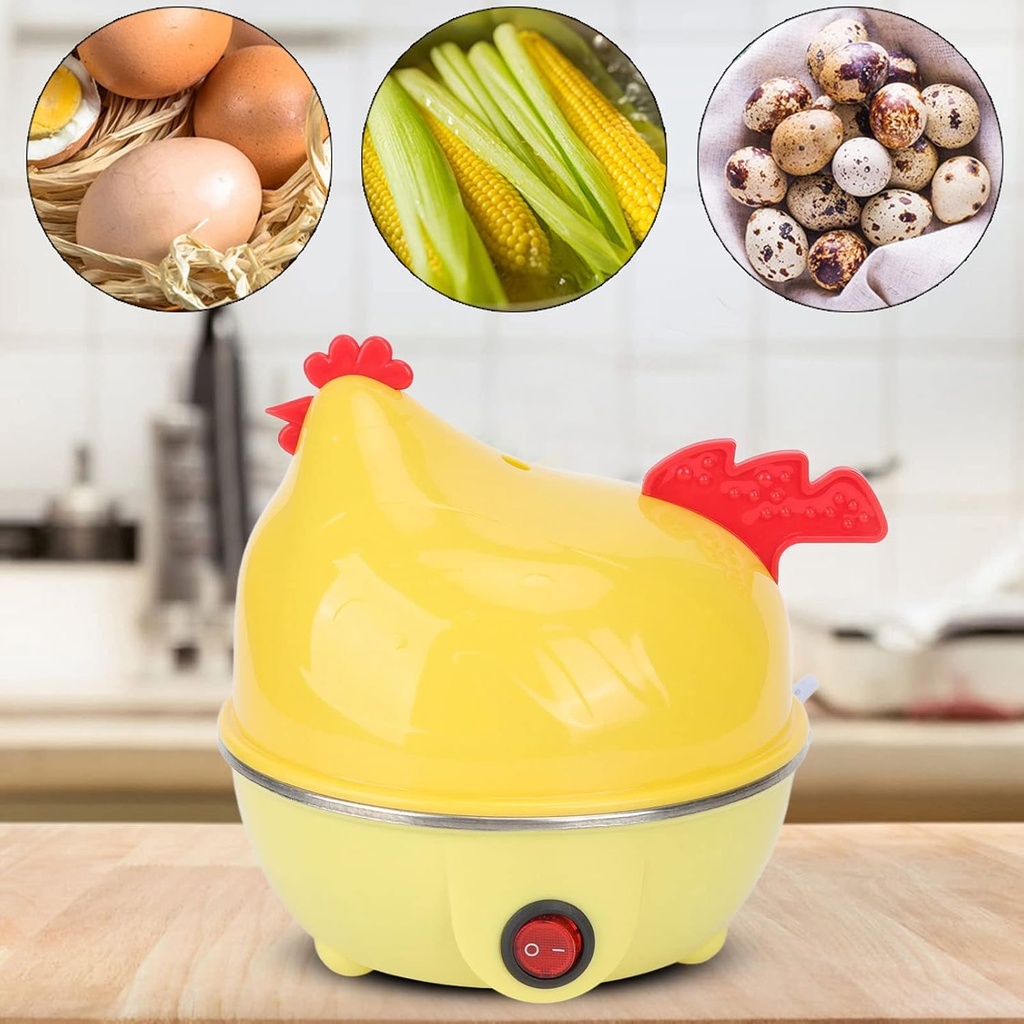 diydeg-rapid-electric-egg-cooker-and-poa-5.jpg