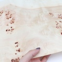 natural-poplar-tree-veneer-with-burl-woo-2.jpg