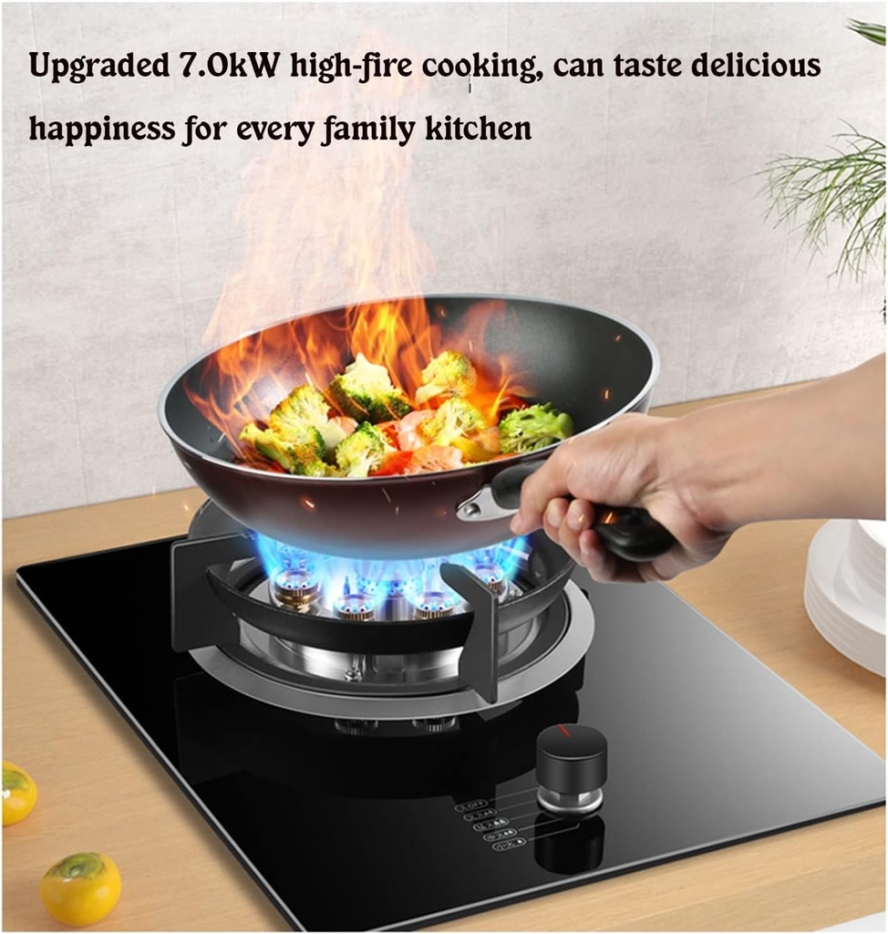 portable-gas-stove-70kw-9-cavity-large-f-5.jpg