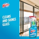 windex-glass-and-window-cleaner-spray-bo-5.jpg
