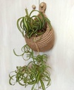 handwoven-hanging-wall-basket-for-kitche-4.jpg