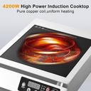 cooktop-burner4200w-burner-with-timer----5.jpg