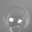 clear-seeded-glass-globe-lamp-shades-rep-6.jpg