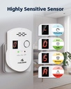 natural-gas-detector-plug-in-gas-leak-de-2.jpg