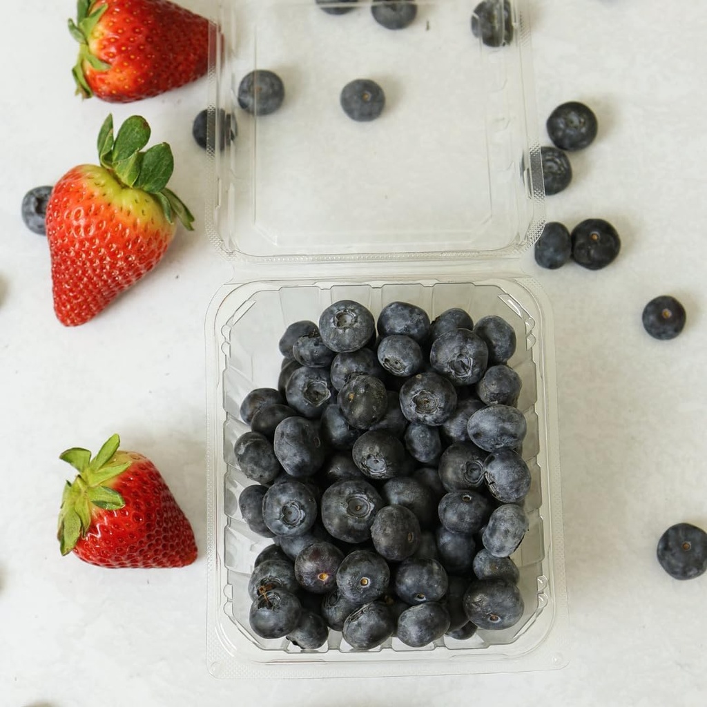 35-pack---plastic-berry-basketproduce-co-2.jpg