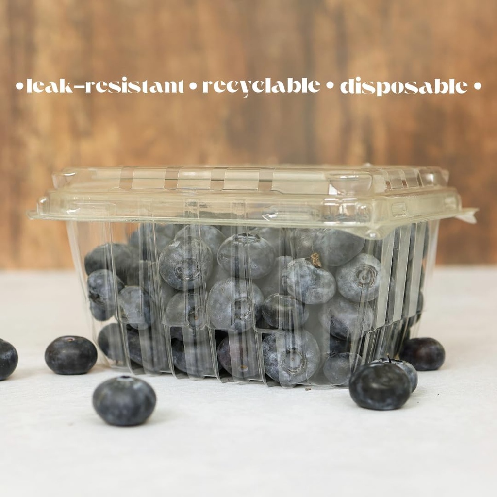 35-pack---plastic-berry-basketproduce-co-5.jpg