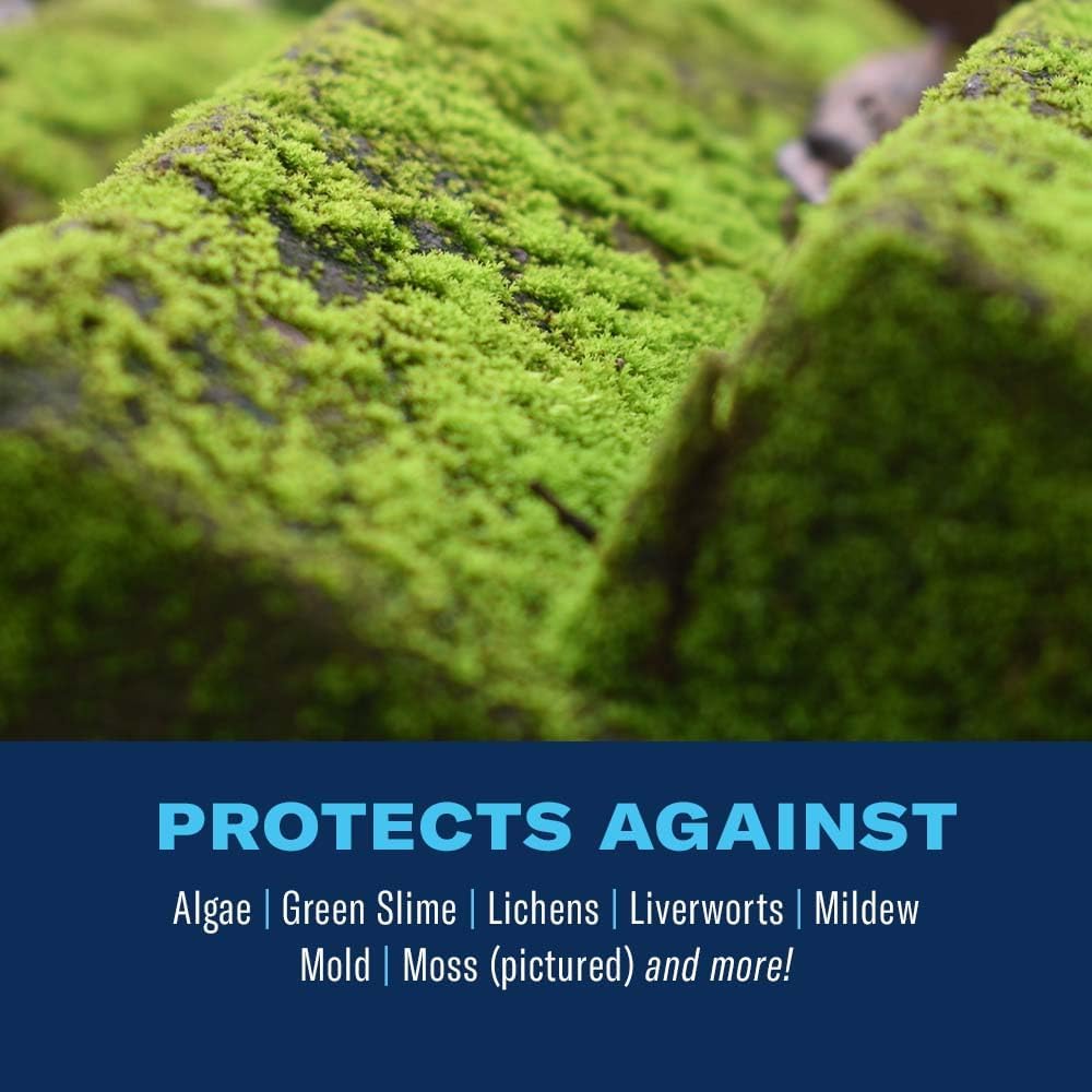 bioadvanced-2-in-1-moss-and-algae-killer-2.jpg