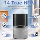 240-true-hepa-replacement-filter-14-for--4.jpg