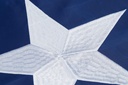homissor-state-of-texas-3x5-feet-flag----4.jpg