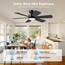 bayday-46-inch-ceiling-fans-with-lights--2.jpg