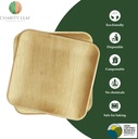 charity-leaf-compostable-10-square-palm--2.jpg