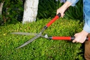 corona-hs-3950-extendable-hedge-shear-10-4.jpg