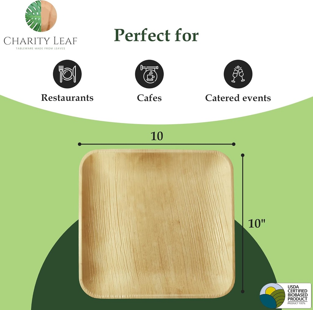 charity-leaf-compostable-10-square-palm--3.jpg