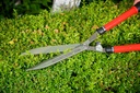 corona-hs-3950-extendable-hedge-shear-10-6.jpg