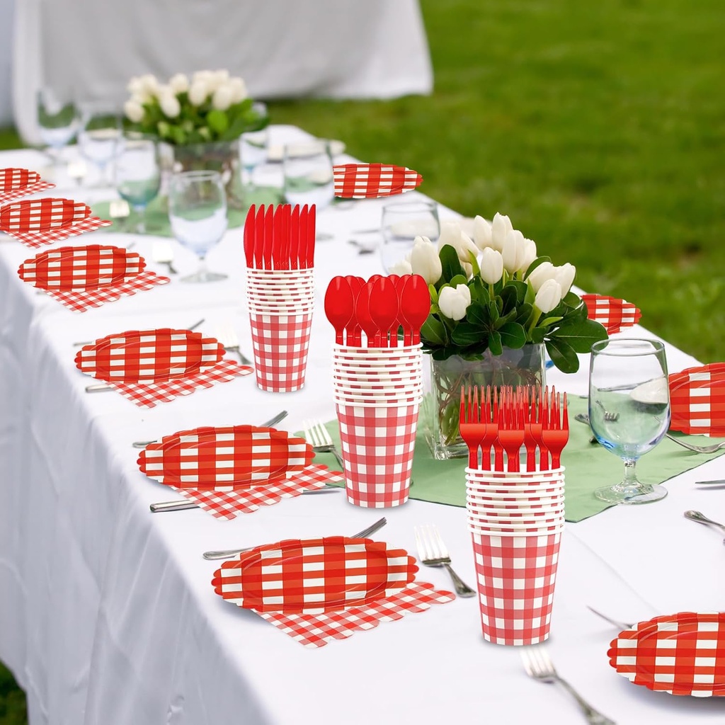 168pcs-light-red-gingham-party-supplies--6.jpg