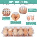 60-packs-12-count-clear-egg-cartons-2-6--4.jpg
