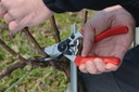felco-f7-pruning-shears-26-swiss-made-ga-2.jpg