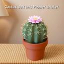 cactus-salt-and-pepper-shakers-3d-printe-2.jpg