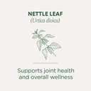 traditional-medicinals-organic-nettle-te-3.jpg