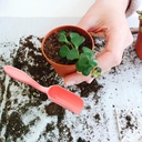 10-pcs-mini-gardening-shovel-spoons-plas-6.jpg