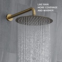 shower-system-brushed-gold-shower-faucet-2.jpg