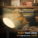 upgraded-floor-lamp-30w2600lm-super-brig-5.jpg
