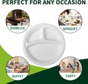 10-inch-3-compartment-paper-plates-white-4.jpg