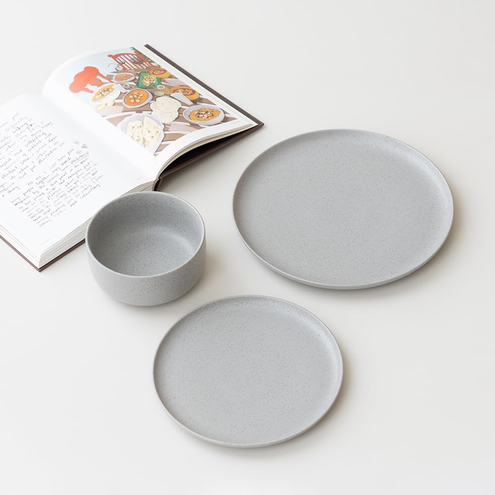 wenshuo-dinner-plates-set-of-6-chip-and--4.jpg